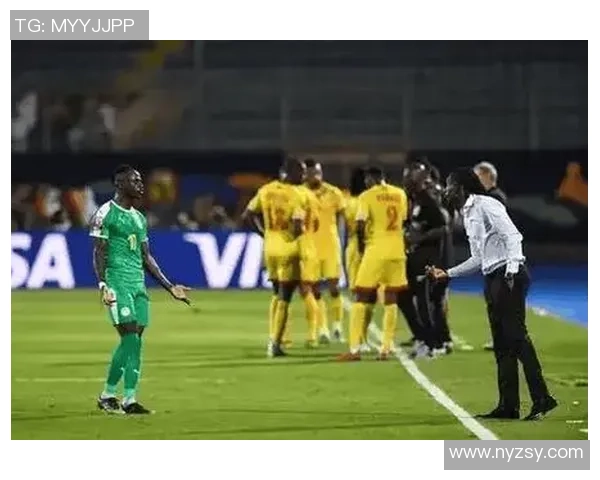 两年不败！10场仅失2球，南非国家队完结蜕变剑指非洲杯！